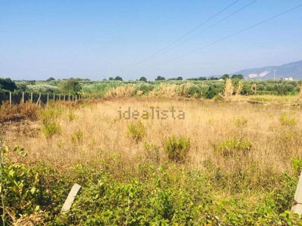 terreno agricolo in vendita a Lamezia Terme in zona Nicastro