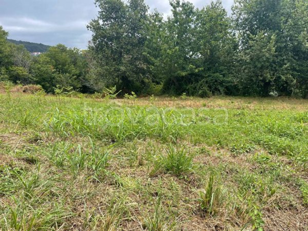 terreno agricolo in vendita a Lamezia Terme in zona Fronti