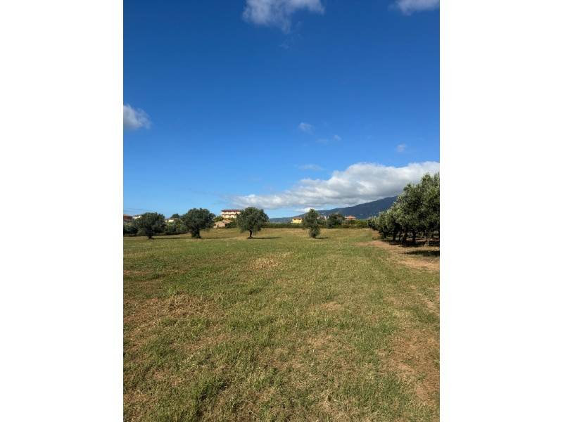 terreno agricolo in vendita a Lamezia Terme