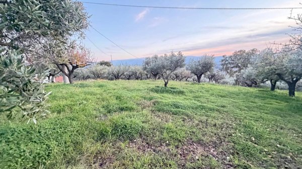 terreno agricolo in vendita a Lamezia Terme