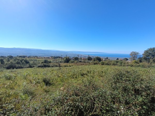 terreno agricolo in vendita a Lamezia Terme