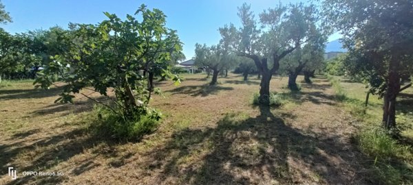 villa in vendita a Lamezia Terme