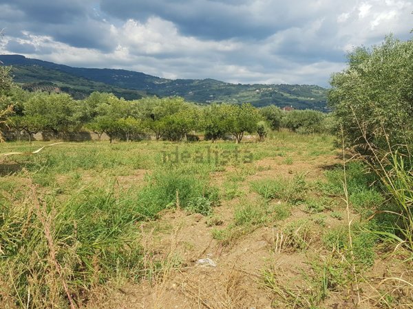 terreno agricolo in vendita a Lamezia Terme