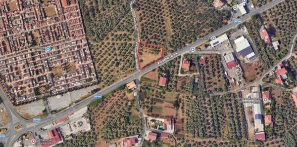 terreno agricolo in vendita a Lamezia Terme