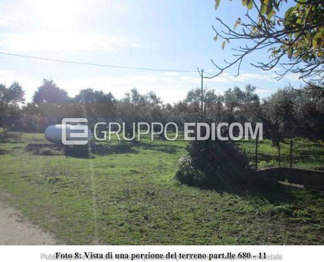 terreno agricolo in vendita a Lamezia Terme in zona Sant'Eufemia Vetere