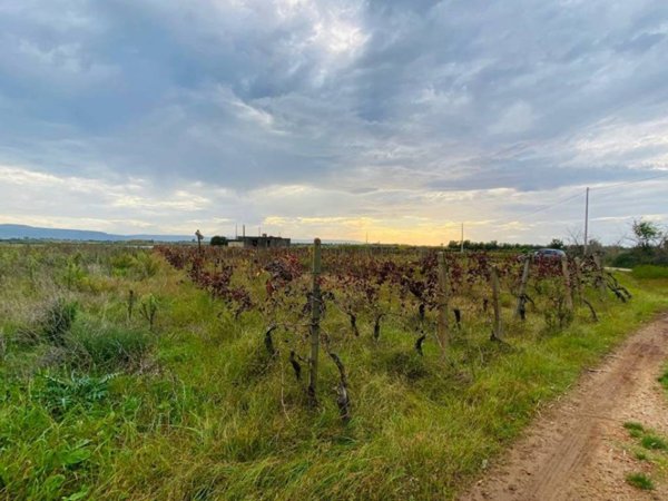 terreno agricolo in vendita a Lamezia Terme