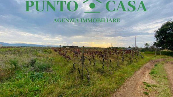 terreno agricolo in vendita a Lamezia Terme