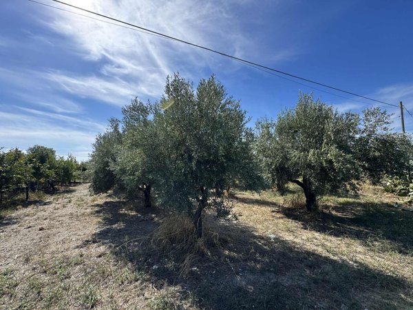 terreno agricolo in vendita a Lamezia Terme
