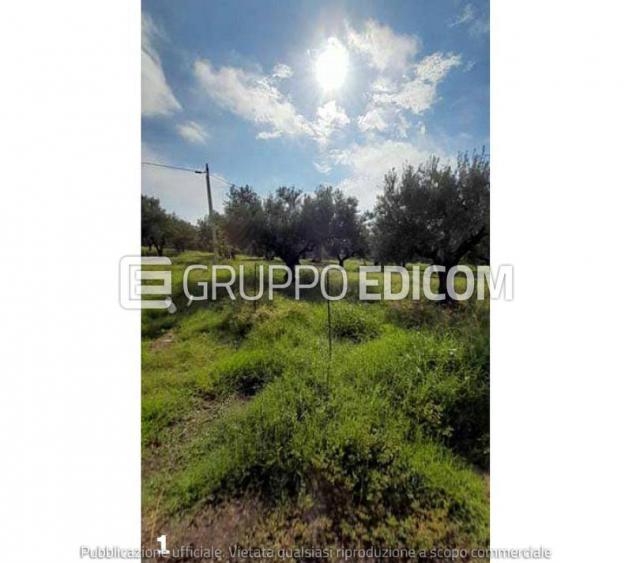 terreno agricolo in vendita a Lamezia Terme