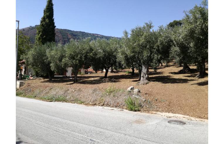 terreno agricolo in vendita a Lamezia Terme in zona Sambiase