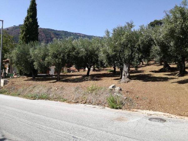 terreno agricolo in vendita a Lamezia Terme in zona Sambiase