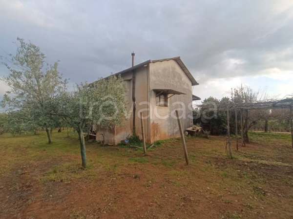 terreno agricolo in vendita a Lamezia Terme