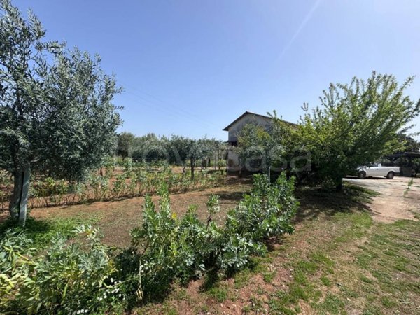 terreno agricolo in vendita a Lamezia Terme in zona Magolà