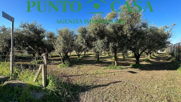 villa in vendita a Lamezia Terme in zona Sant'Eufemia Lamezia