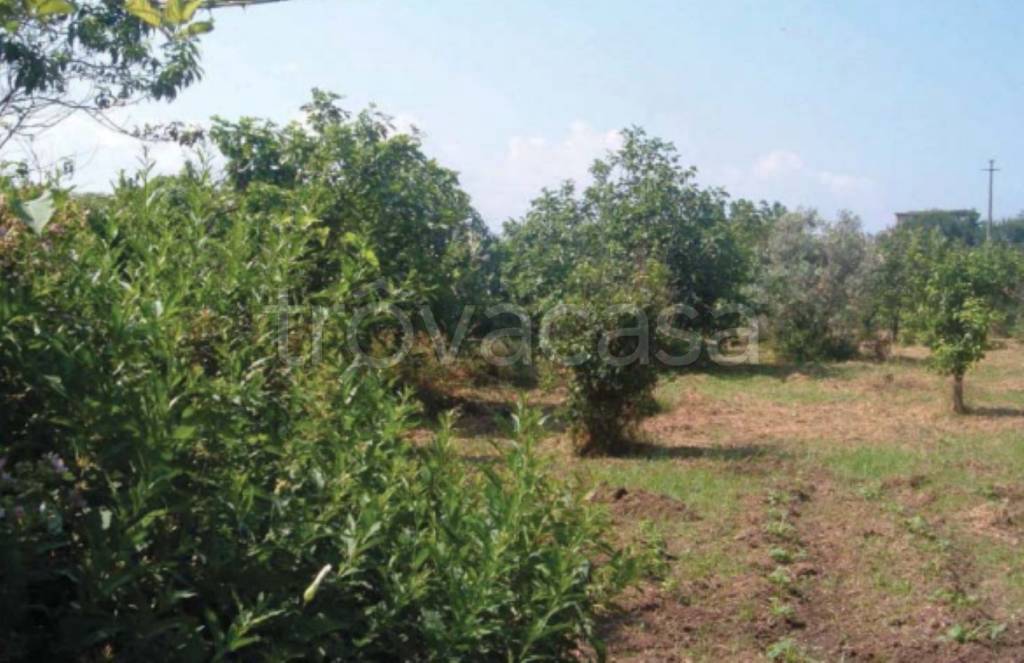 terreno agricolo in vendita a Lamezia Terme