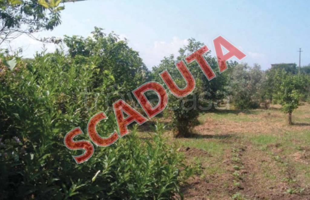 terreno agricolo in vendita a Lamezia Terme