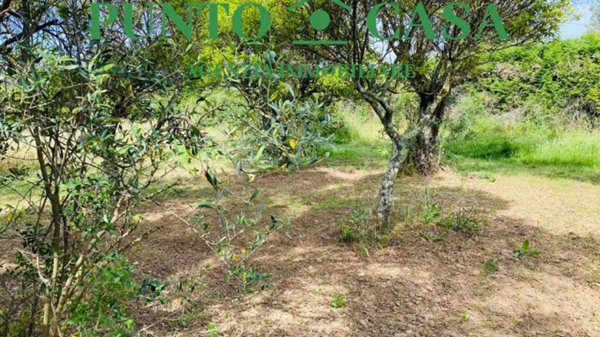 terreno agricolo in vendita a Lamezia Terme in zona Sambiase