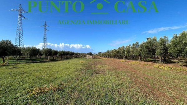 terreno agricolo in vendita a Lamezia Terme in zona Nicastro
