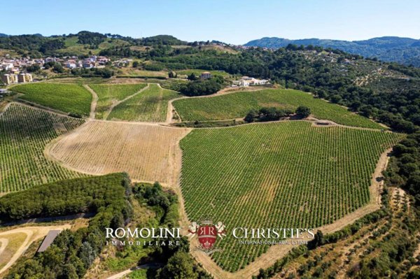 negozio in vendita a Lamezia Terme