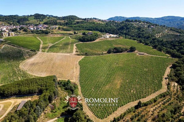 negozio in vendita a Lamezia Terme