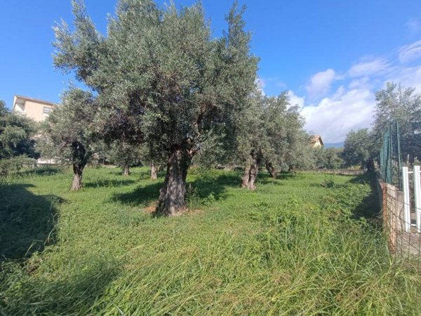 terreno agricolo in vendita a Lamezia Terme in zona Nicastro