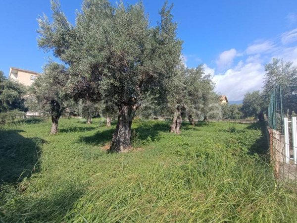 terreno agricolo in vendita a Lamezia Terme
