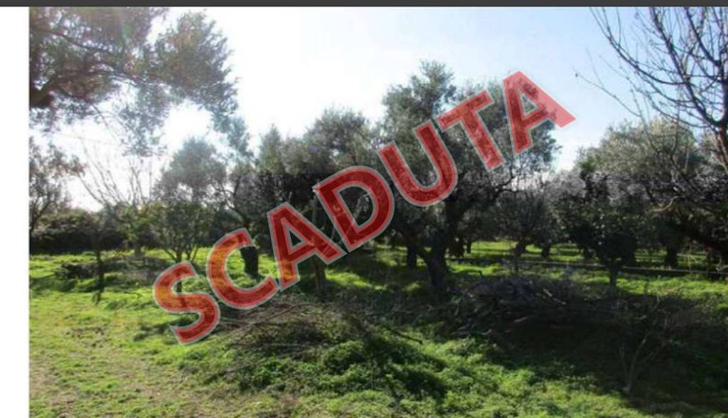 terreno agricolo in vendita a Lamezia Terme in zona Sant'Eufemia Vetere