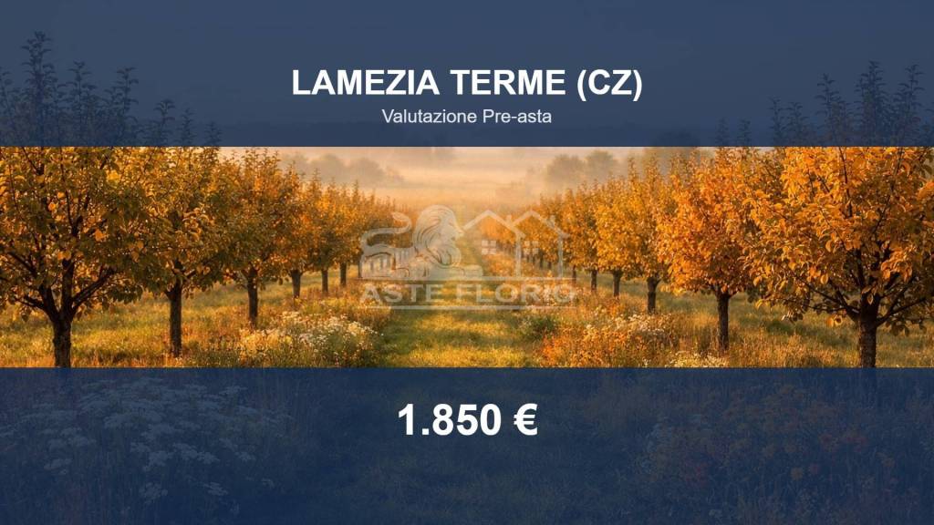 terreno agricolo in vendita a Lamezia Terme