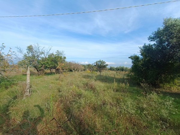 terreno agricolo in vendita a Lamezia Terme