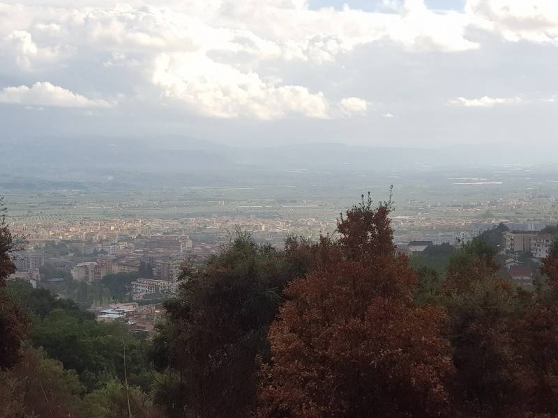 terreno agricolo in vendita a Lamezia Terme