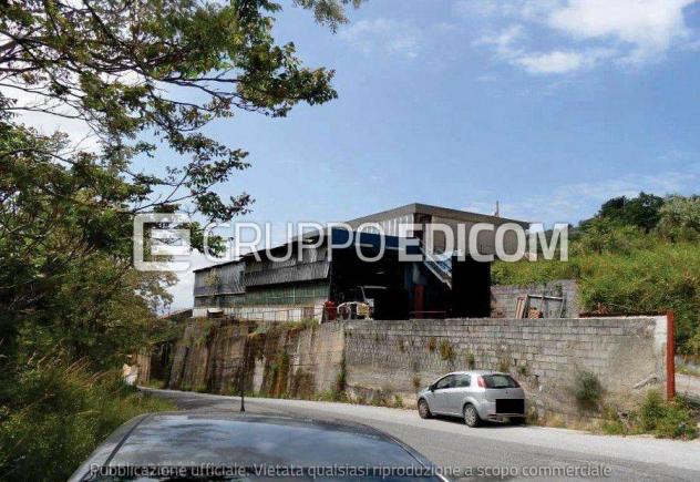 negozio in vendita a Lamezia Terme