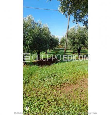 terreno agricolo in vendita a Lamezia Terme