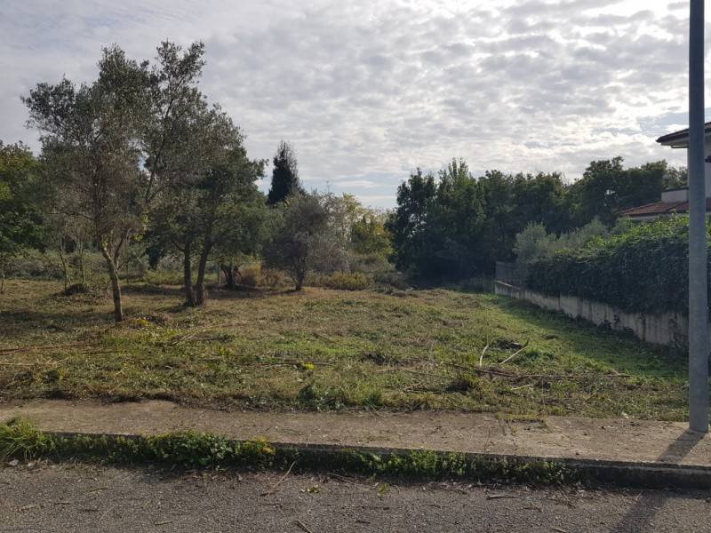 terreno agricolo in vendita a Lamezia Terme in zona Magolà
