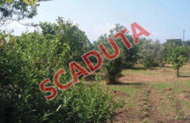 terreno agricolo in vendita a Lamezia Terme