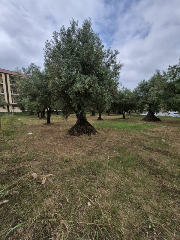 terreno edificabile in vendita a Lamezia Terme