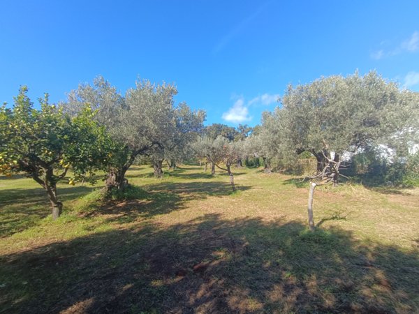 terreno edificabile in vendita a Lamezia Terme