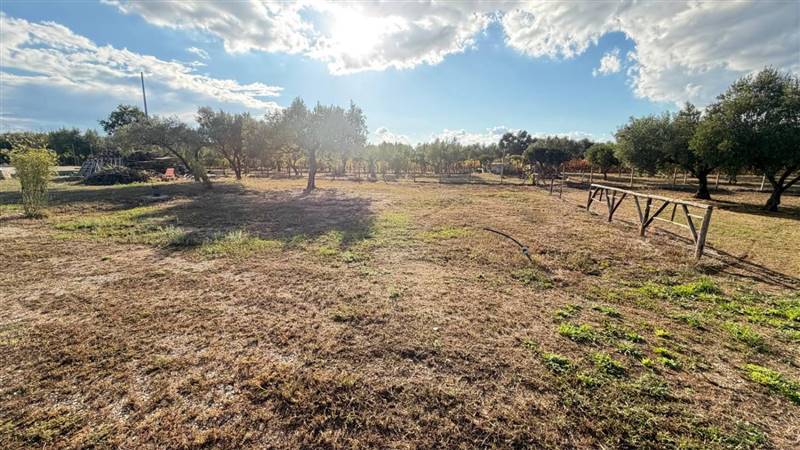 terreno agricolo in vendita a Lamezia Terme in zona Carrà