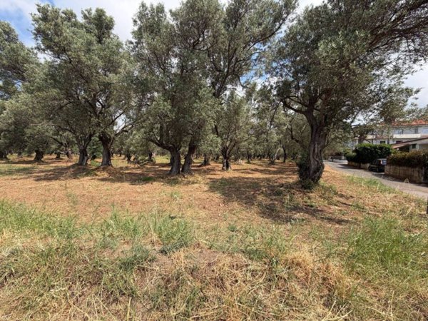 terreno agricolo in vendita a Lamezia Terme in zona Carrà