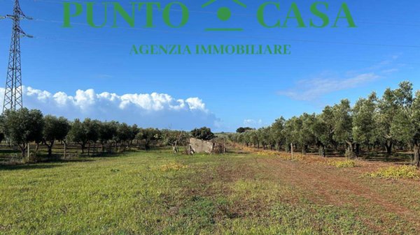 terreno agricolo in vendita a Lamezia Terme in zona Magolà