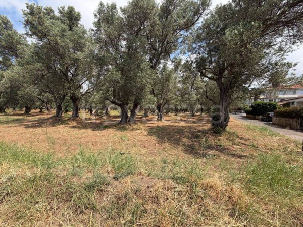 casa indipendente in vendita a Lamezia Terme in zona Carrà