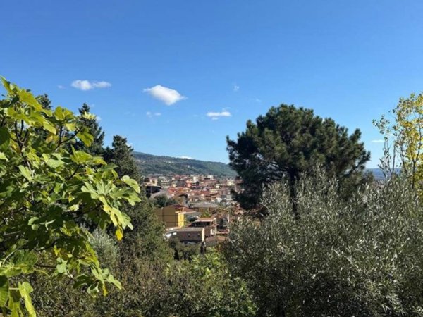 terreno agricolo in vendita a Lamezia Terme in zona Nicastro
