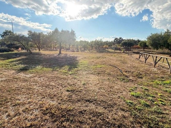 terreno agricolo in vendita a Lamezia Terme