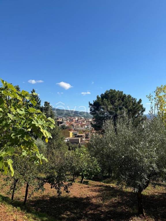 terreno agricolo in vendita a Lamezia Terme in zona Sambiase
