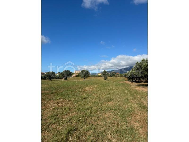 terreno agricolo in vendita a Lamezia Terme in zona Carrà