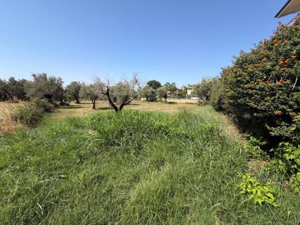terreno agricolo in vendita a Lamezia Terme in zona Sambiase