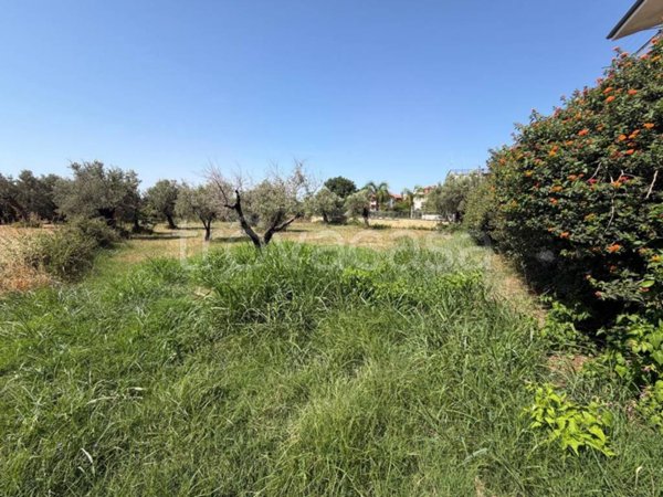 terreno agricolo in vendita a Lamezia Terme in zona Sambiase