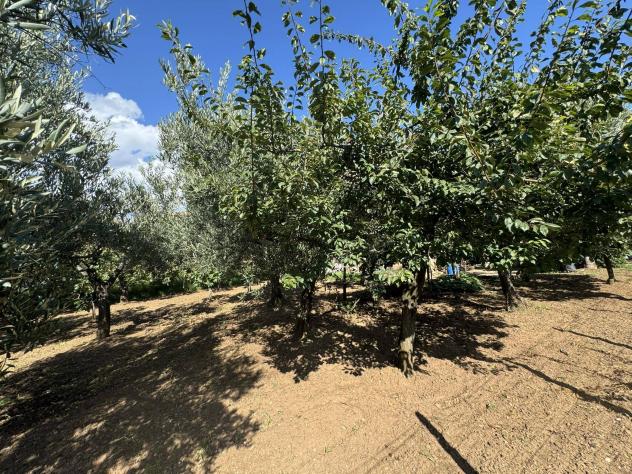 terreno agricolo in vendita a Lamezia Terme