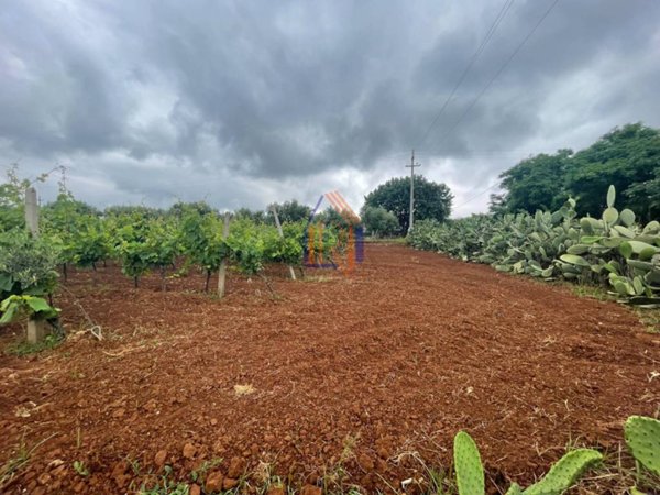 terreno agricolo in vendita a Lamezia Terme in zona Magolà