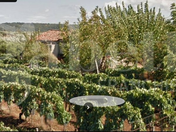 terreno agricolo in vendita a Lamezia Terme in zona Magolà