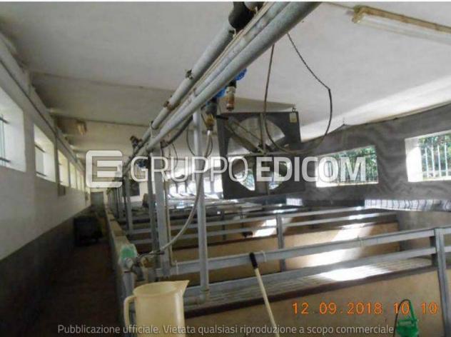 negozio in vendita a Lamezia Terme